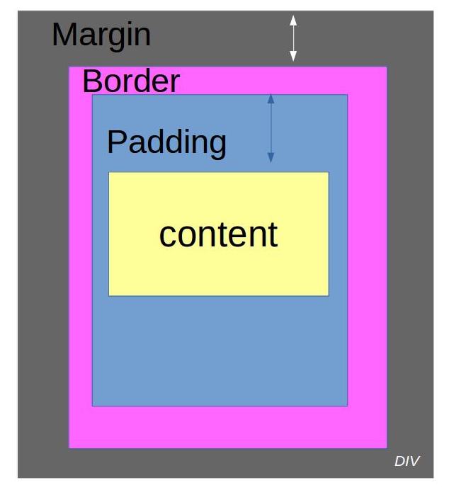 exemple schéma margin et padding